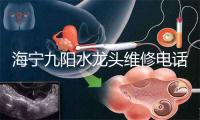 海宁九阳水龙头维修电话号码
